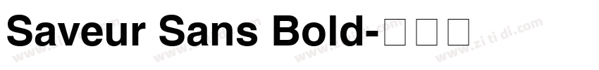 Saveur Sans Bold字体转换